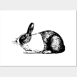 cute rabbit Posters and Art